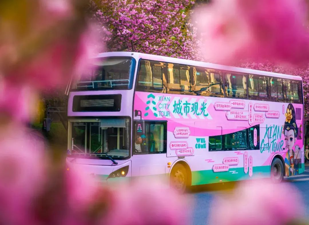 城市觀光車.jpg